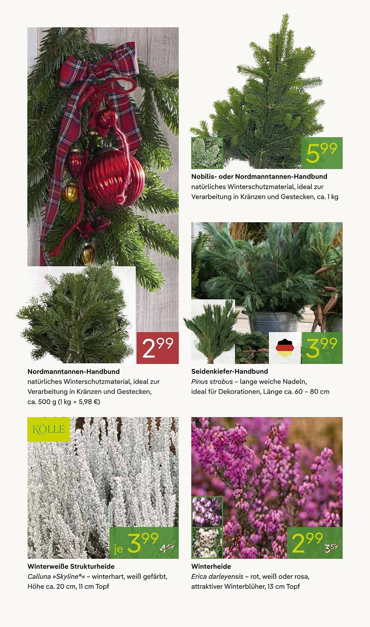 Pflanzen Kölle Prospekt