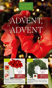 Pflanzen Kölle Prospekt