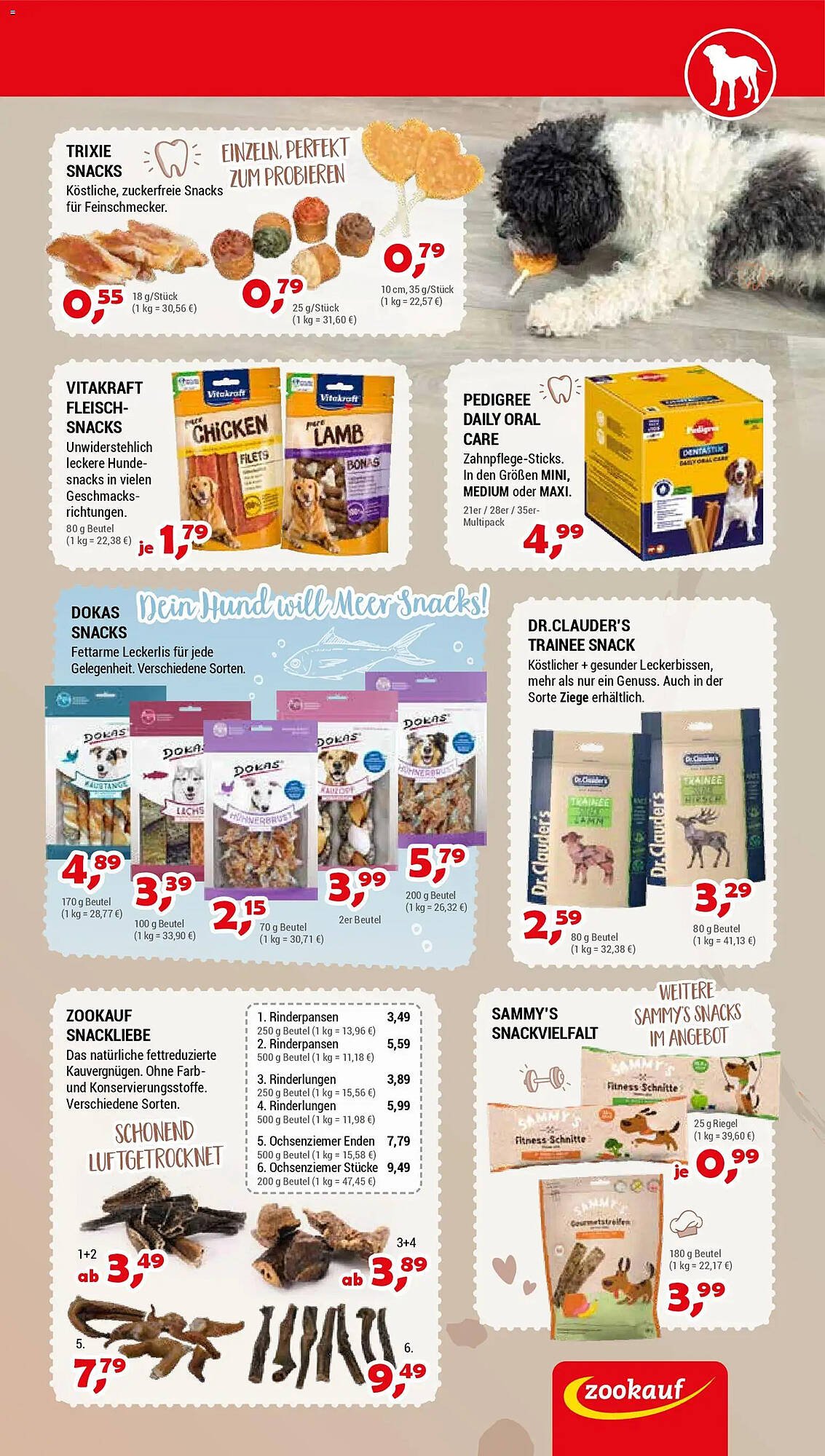 Zookauf Prospekt
