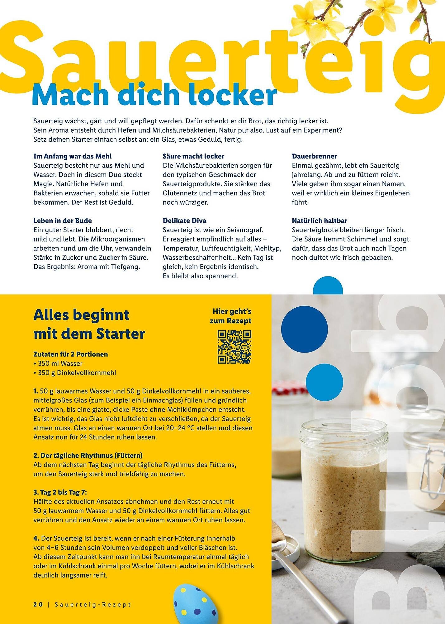 Lidl Prospekt (2026-03-08 - 2026-04-04)