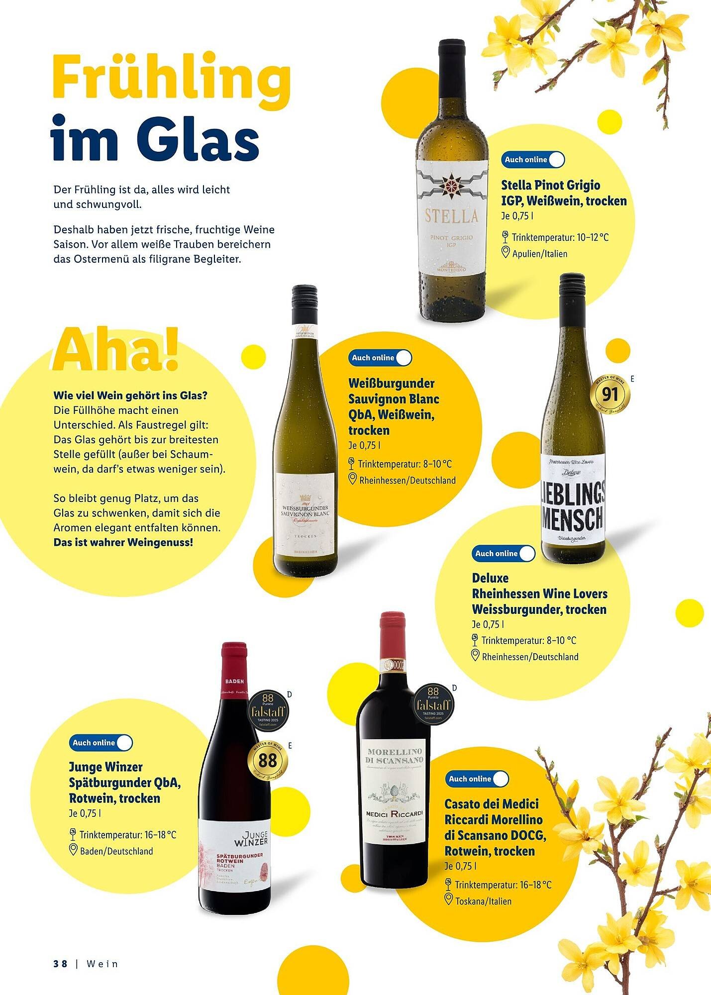 Lidl Prospekt (2026-03-08 - 2026-04-04)