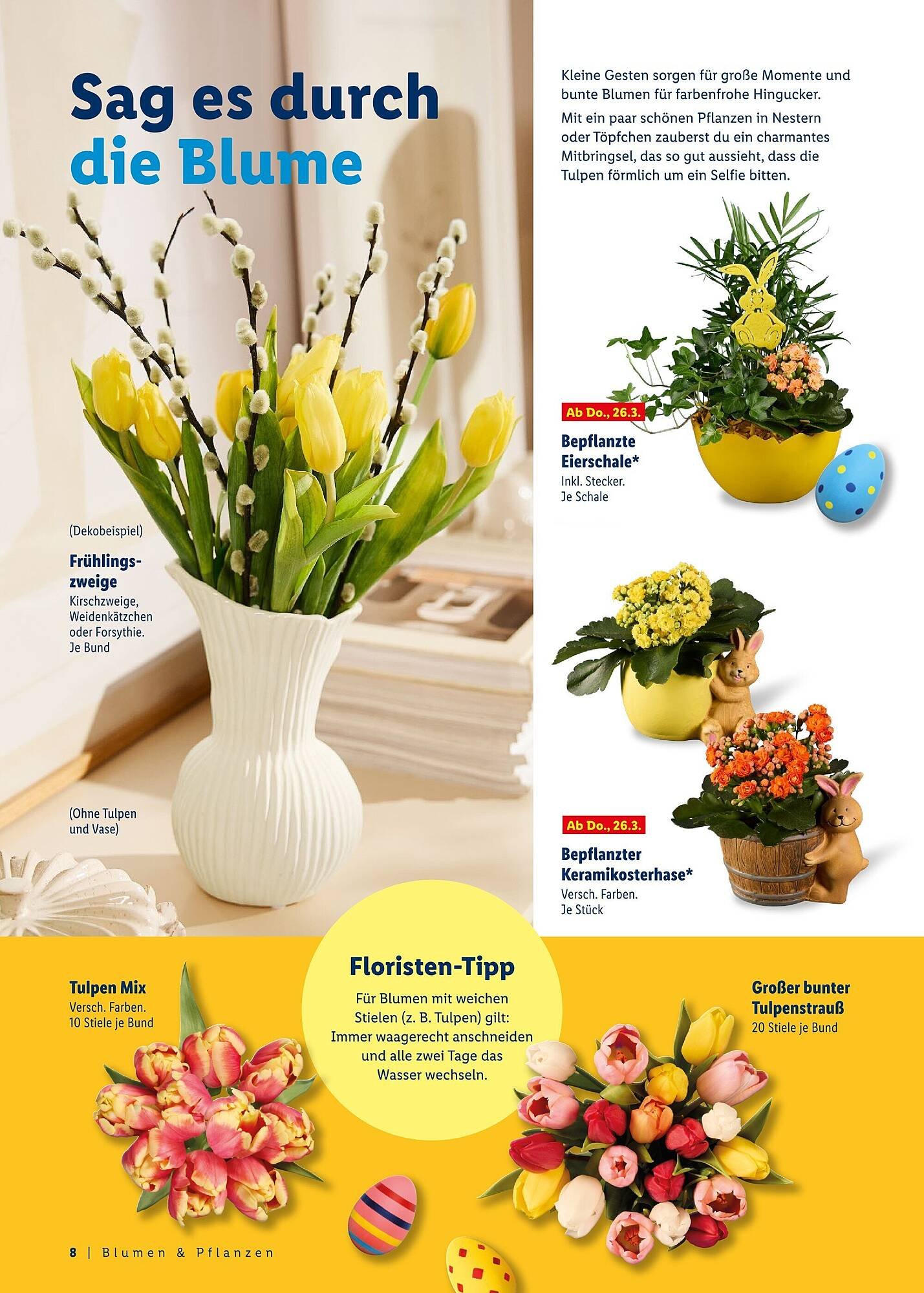 Lidl Prospekt (2026-03-08 - 2026-04-04)