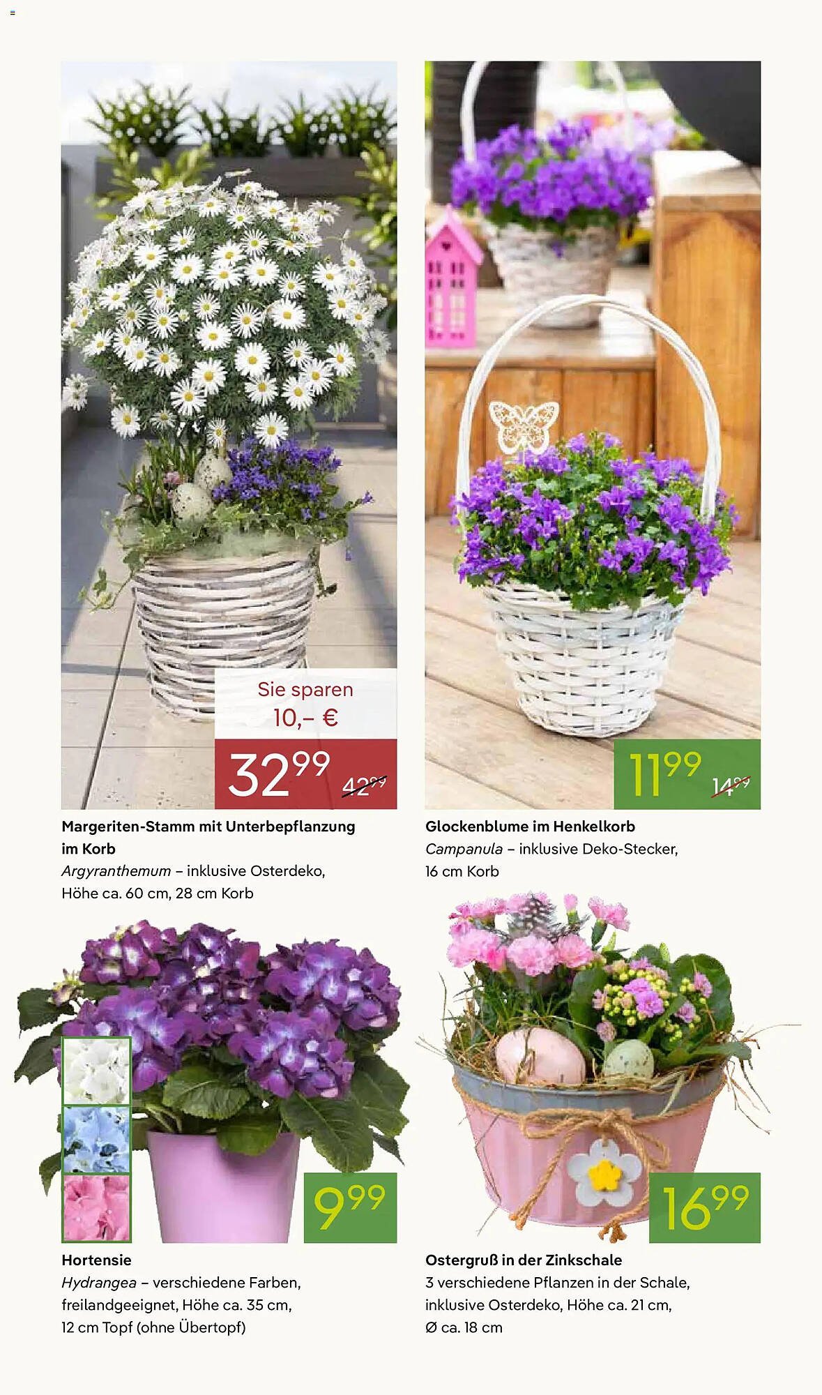 Pflanzen Kölle Prospekt