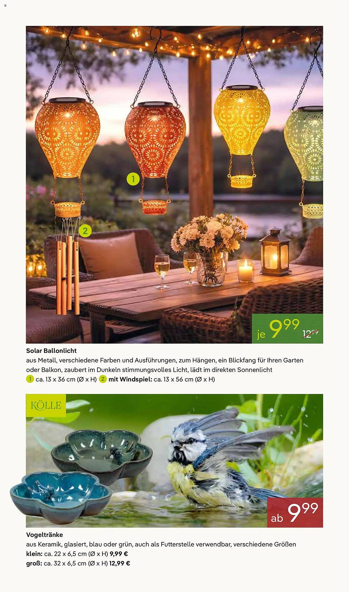 Pflanzen Kölle Prospekt