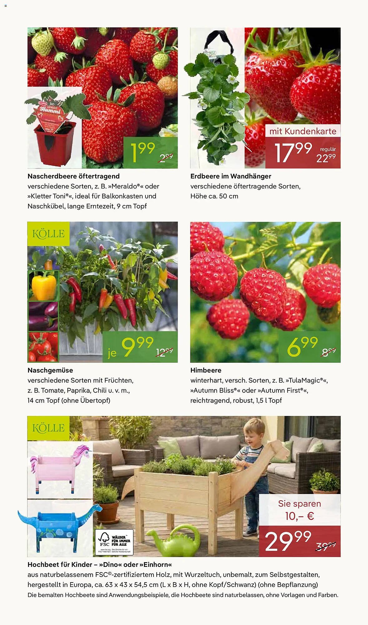 Pflanzen Kölle Prospekt