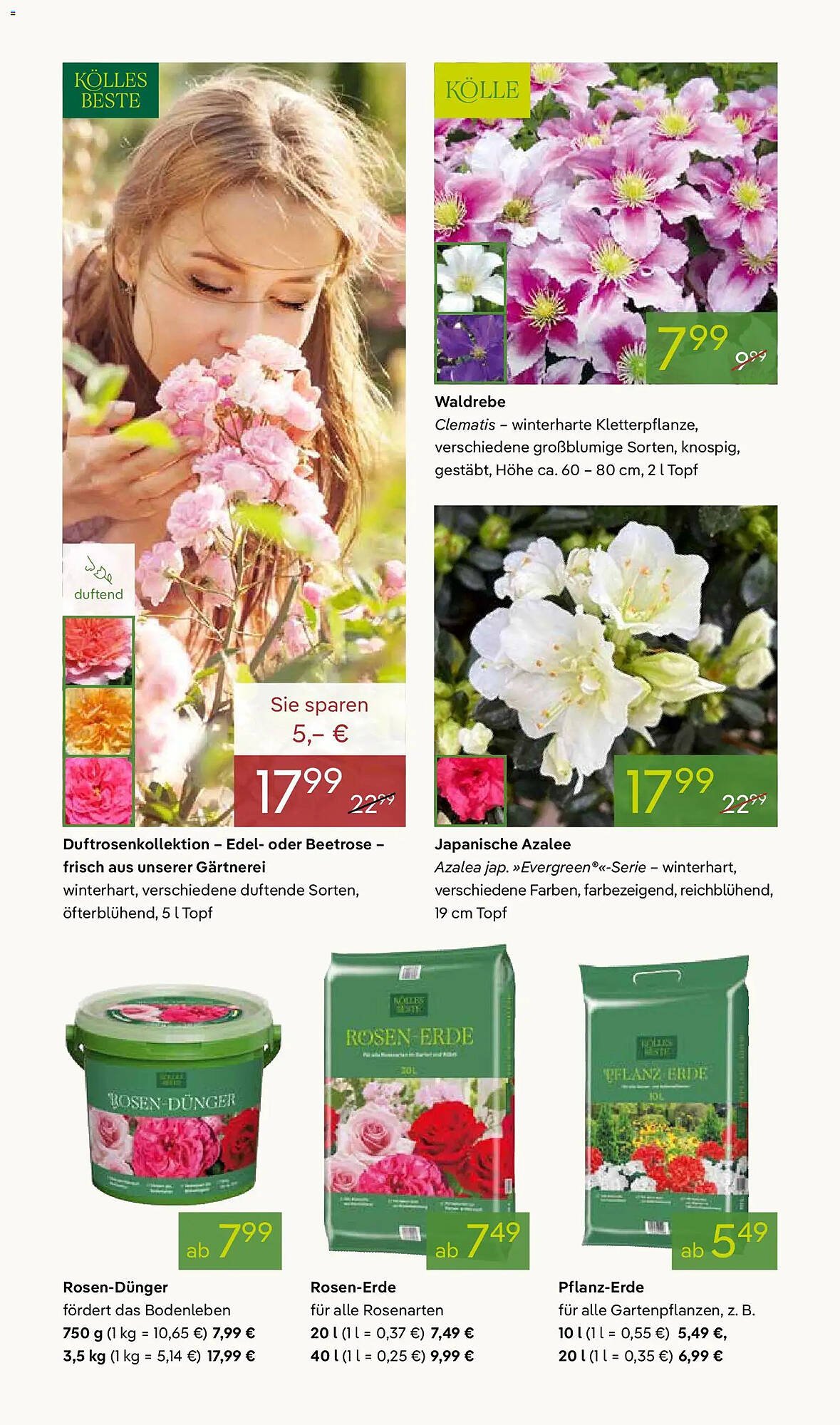 Pflanzen Kölle Prospekt