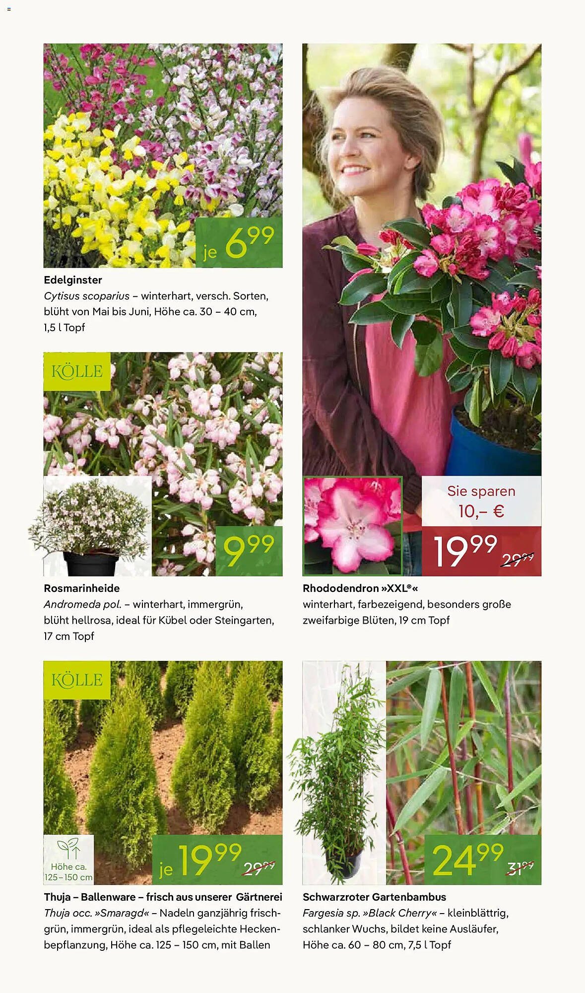 Pflanzen Kölle Prospekt