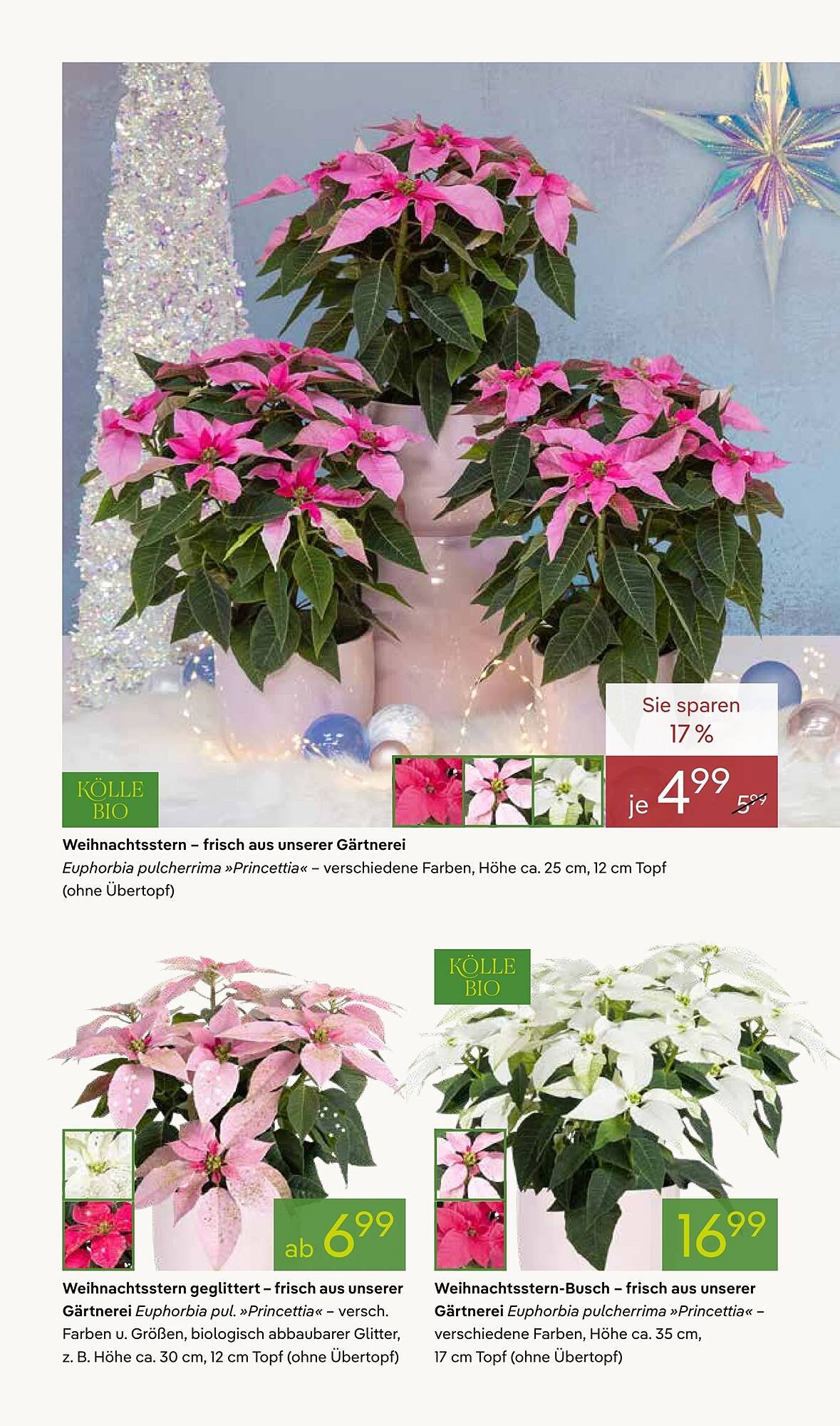 Pflanzen Kölle Prospekt (2025-11-03 - 2025-11-10)