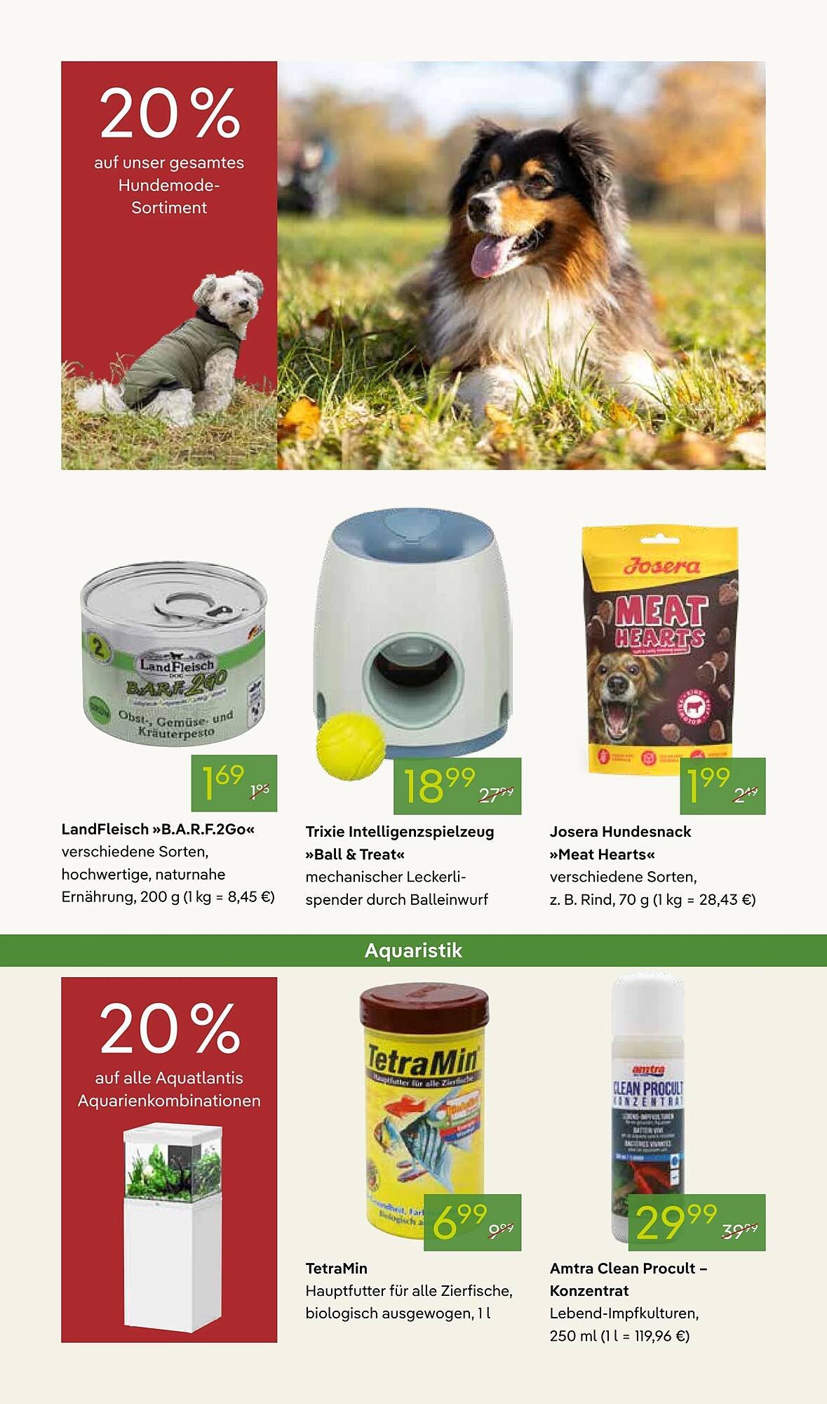 Pflanzen Kölle Prospekt (2025-11-03 - 2025-11-10)