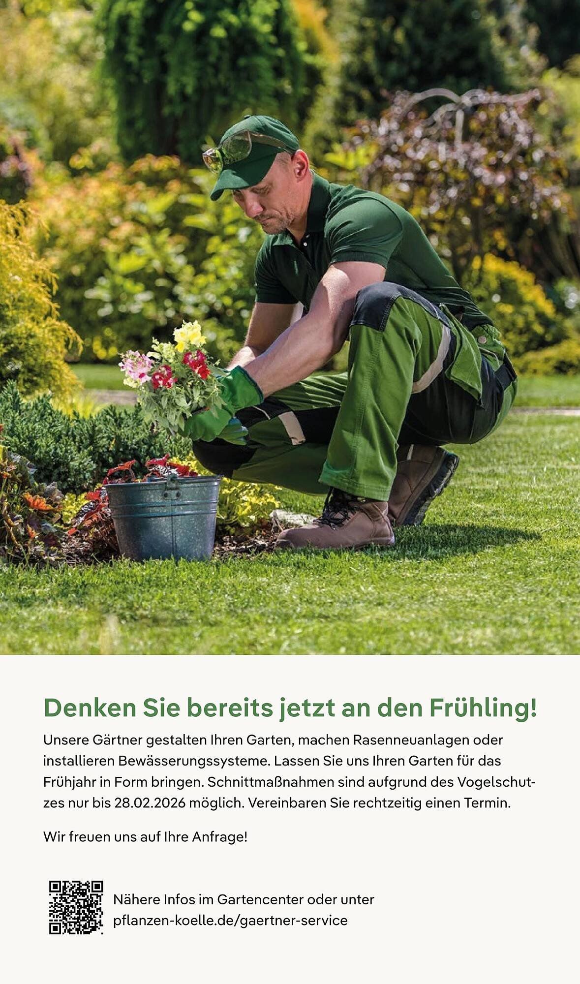 Pflanzen Kölle Prospekt (2025-11-03 - 2025-11-10)