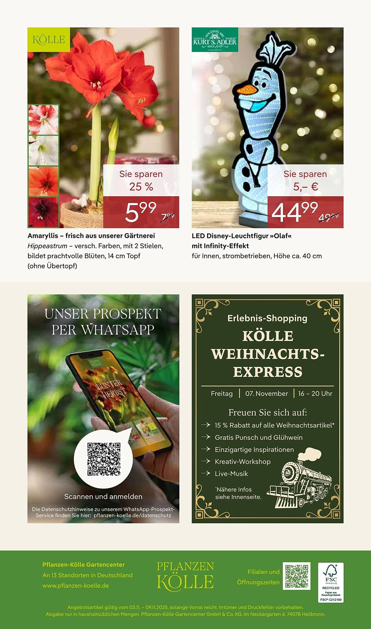 Pflanzen Kölle Prospekt (2025-11-03 - 2025-11-10)