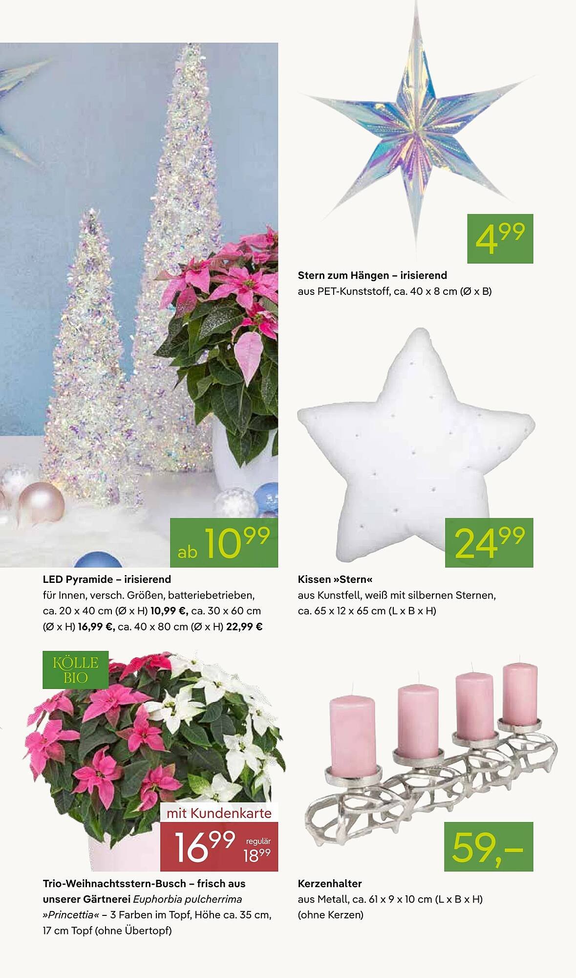 Pflanzen Kölle Prospekt (2025-11-03 - 2025-11-10)