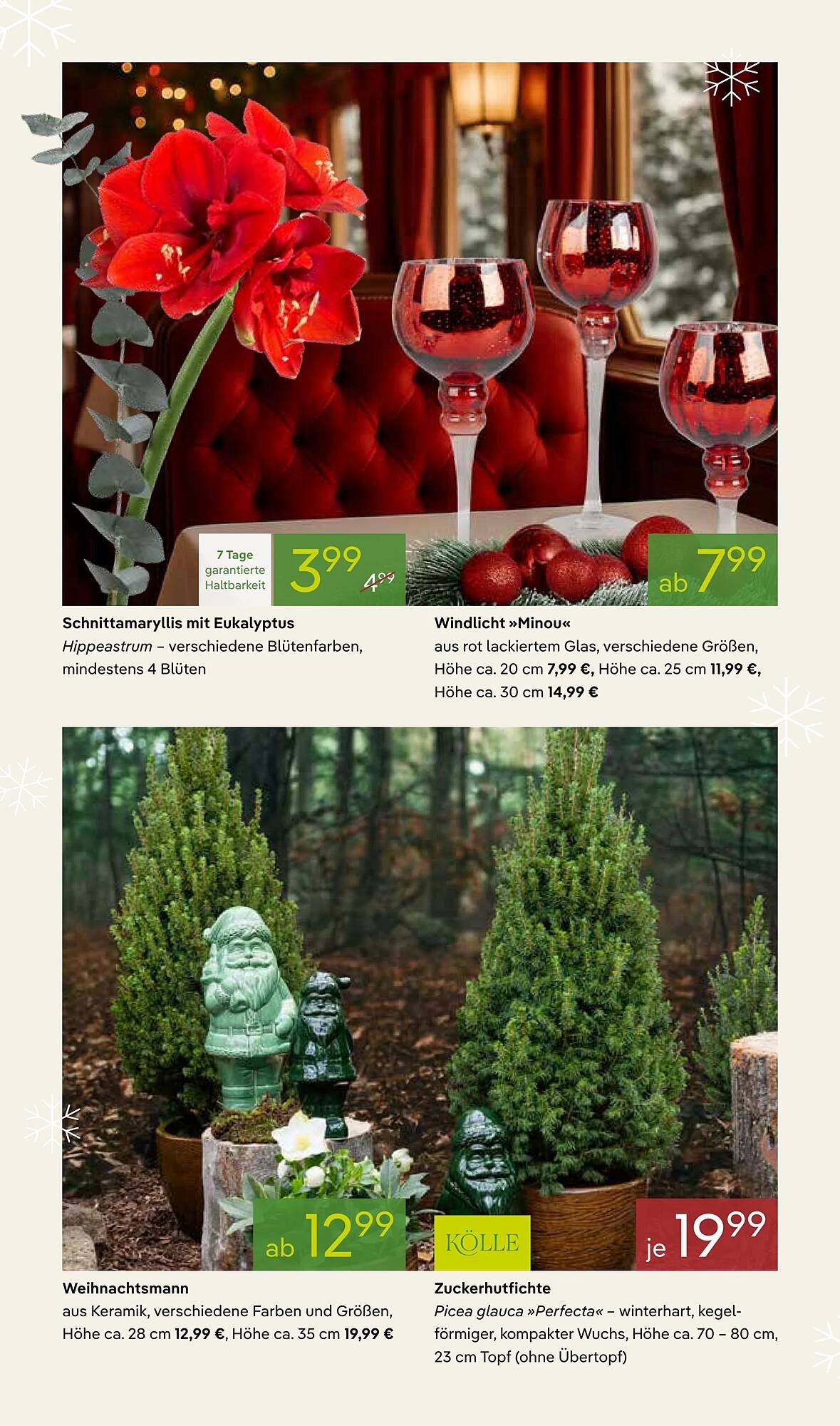 Pflanzen Kölle Prospekt (2025-11-03 - 2025-11-10)