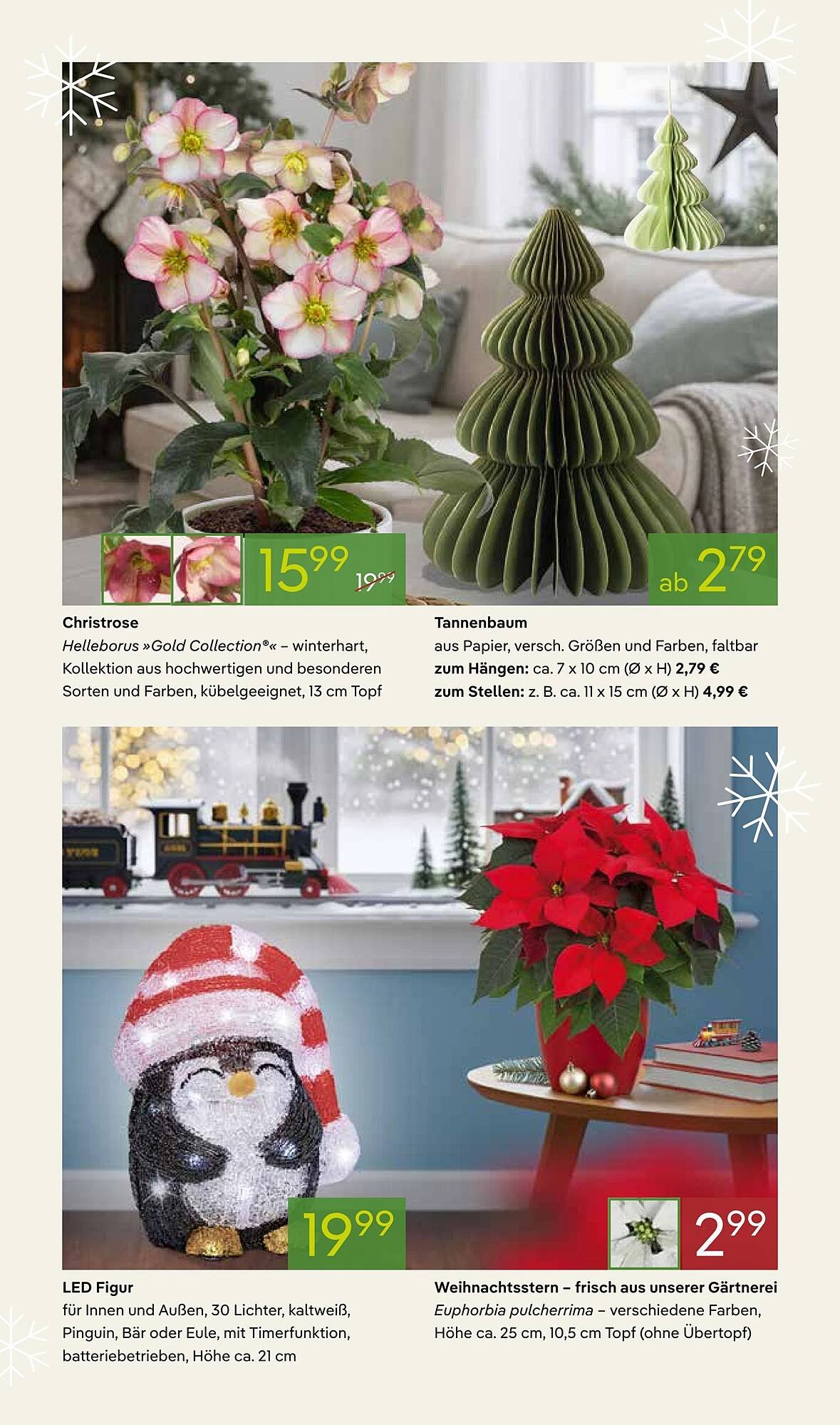 Pflanzen Kölle Prospekt (2025-11-03 - 2025-11-10)