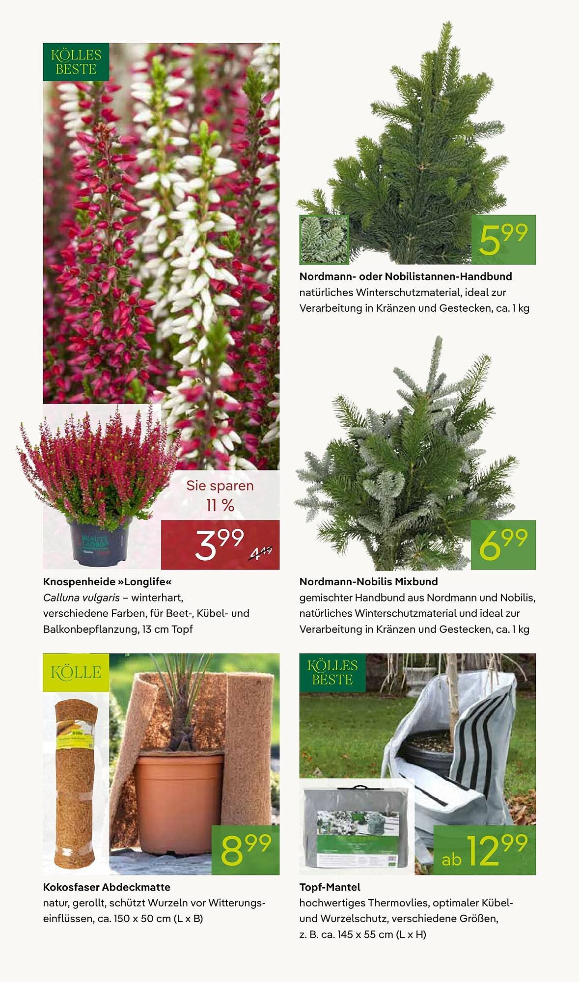 Pflanzen Kölle Prospekt (2025-11-03 - 2025-11-10)