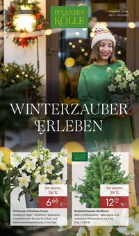 Pflanzen Kölle Prospekt (2025-11-03 - 2025-11-10)