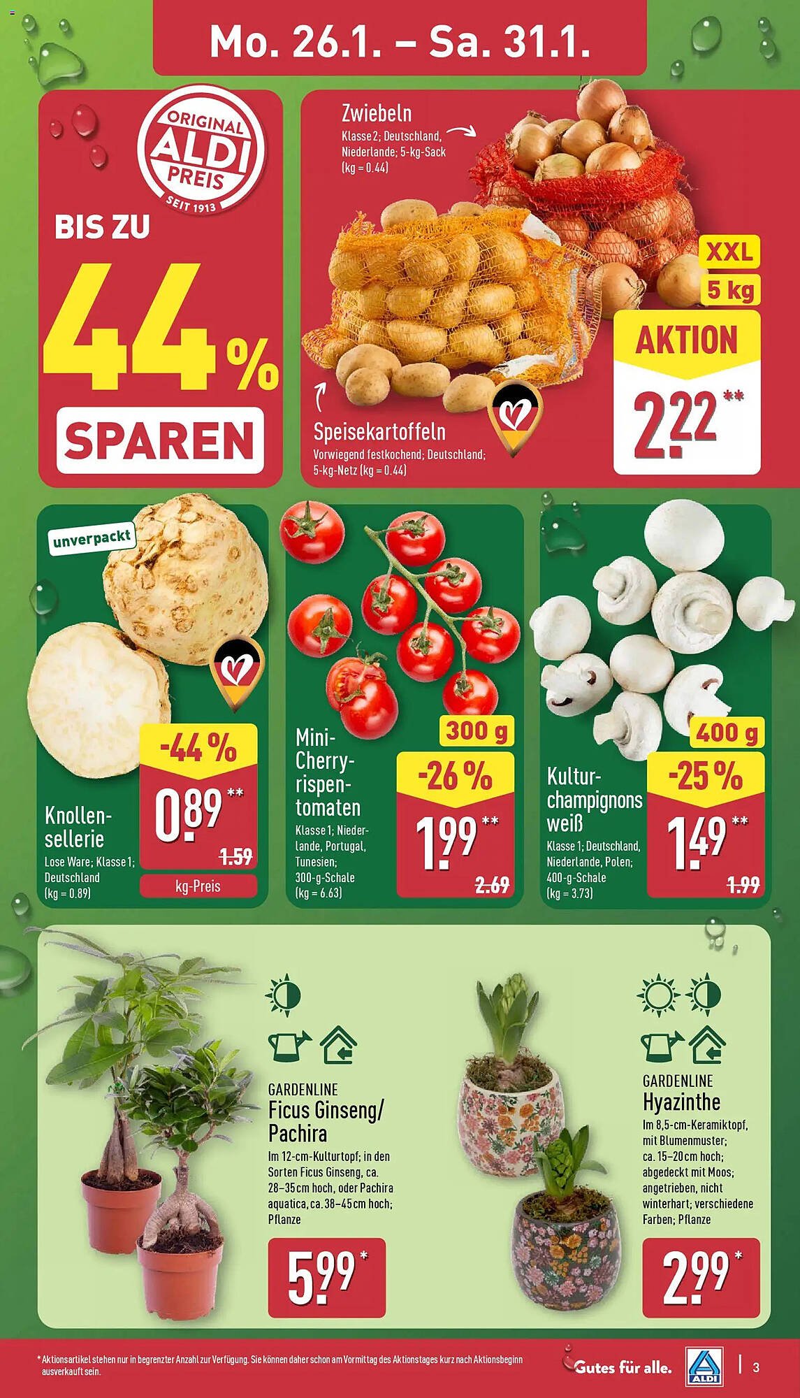 Aldi Nord Prospekt (2026-01-26 - 2026-01-31)