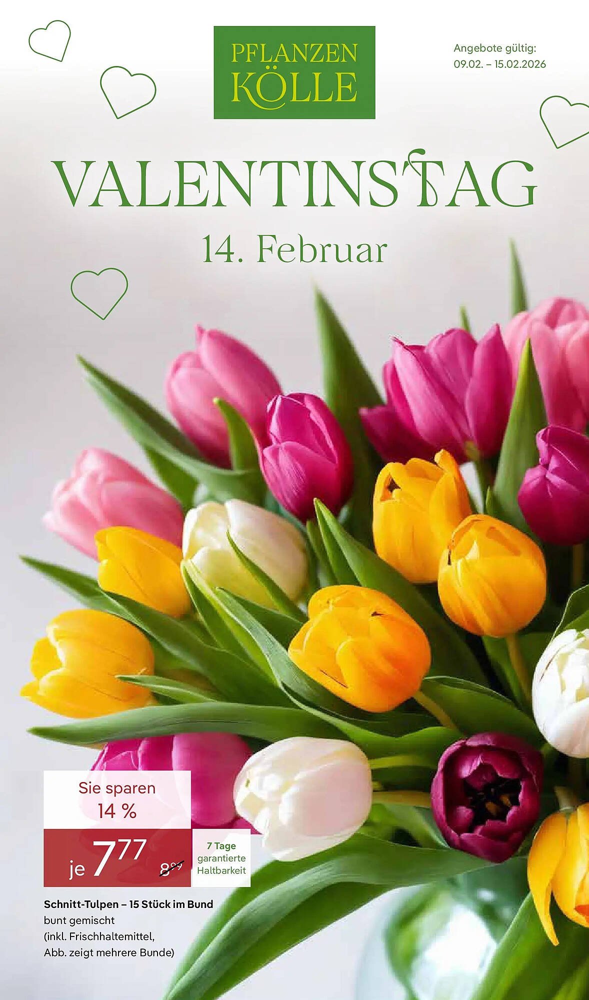 Pflanzen Kölle Prospekt