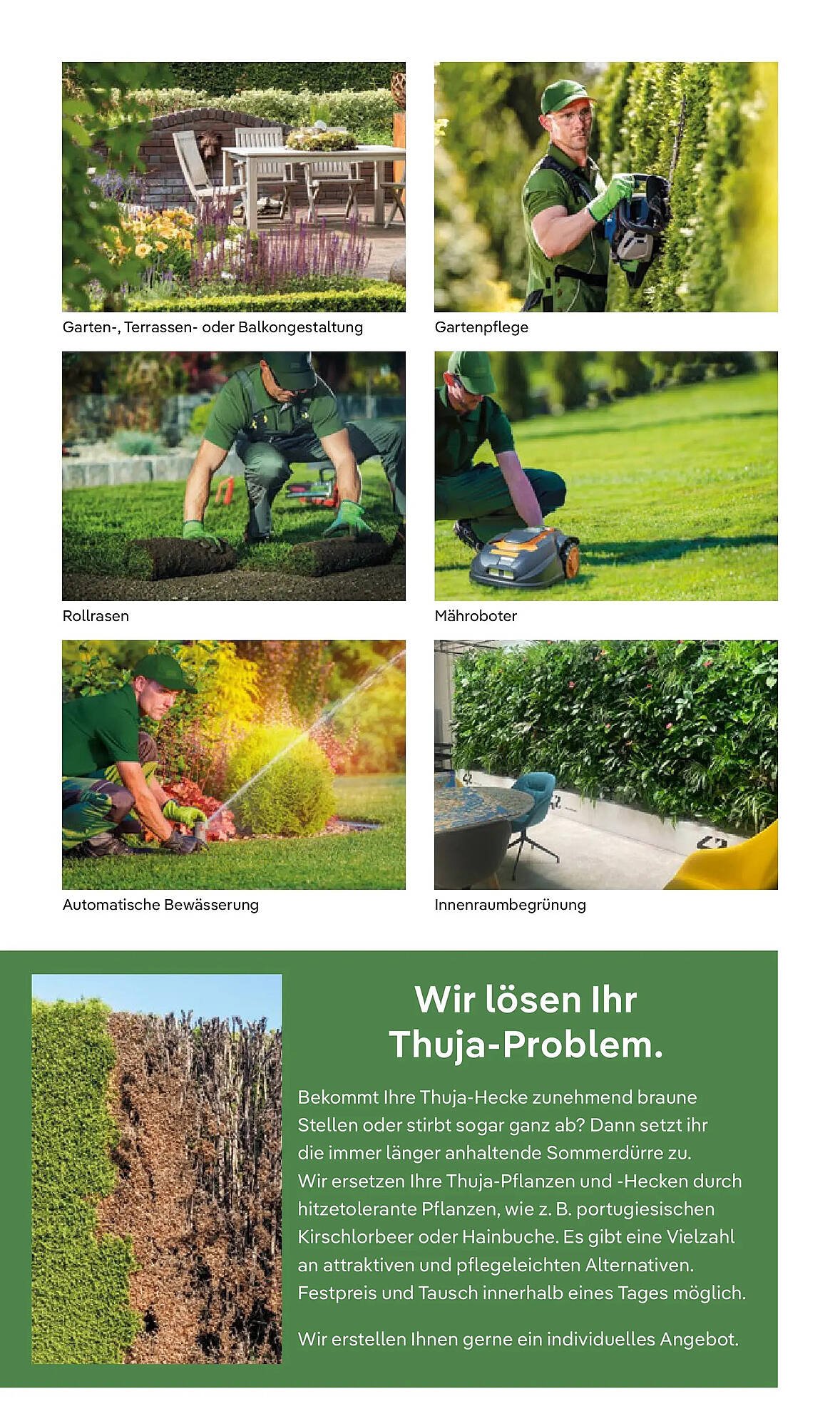 Pflanzen Kölle Prospekt