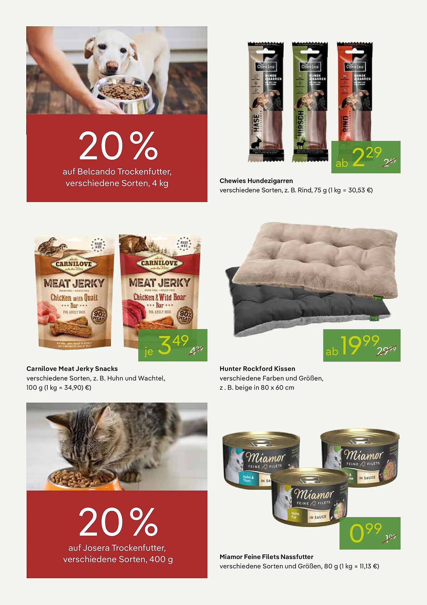 Pflanzen Kölle Prospekt