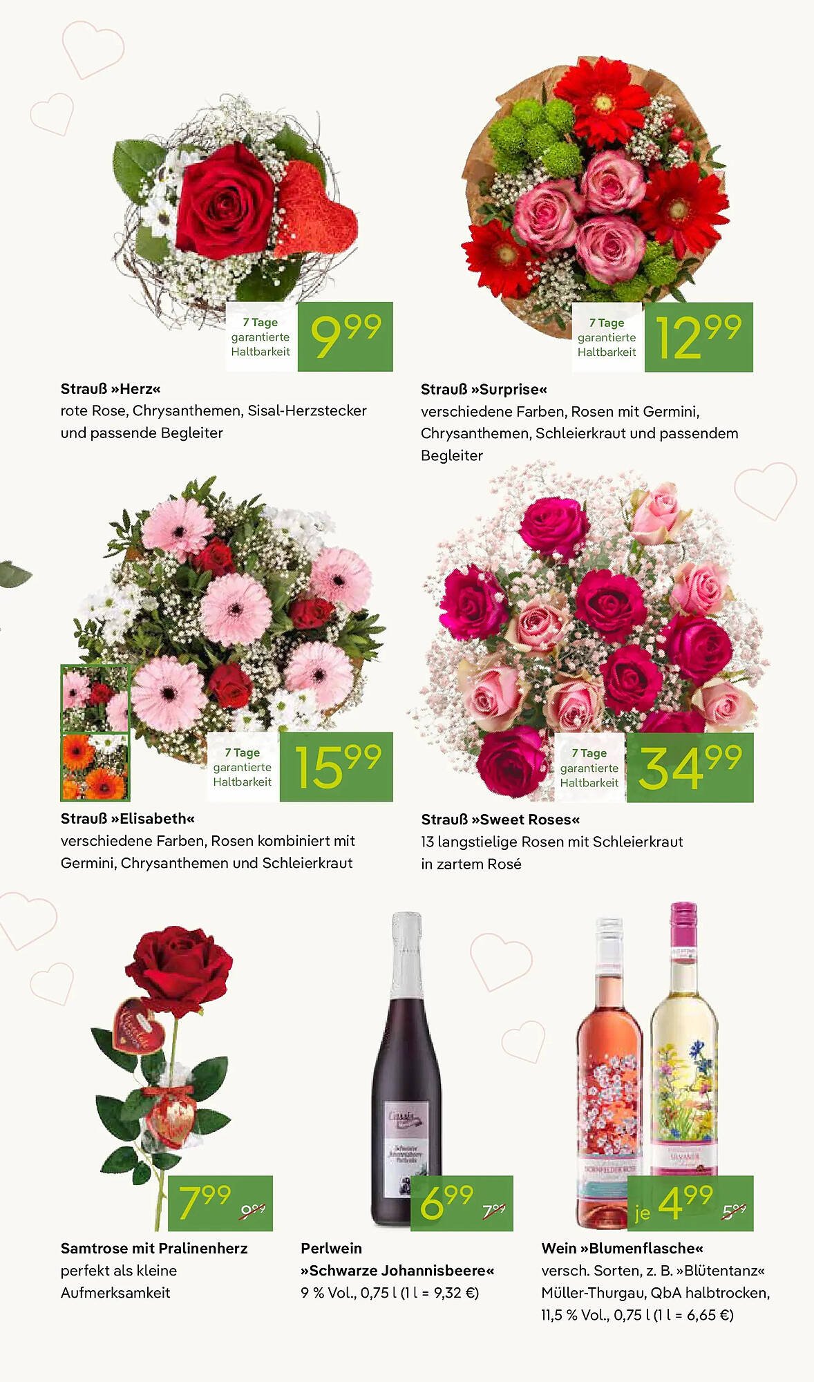 Pflanzen Kölle Prospekt