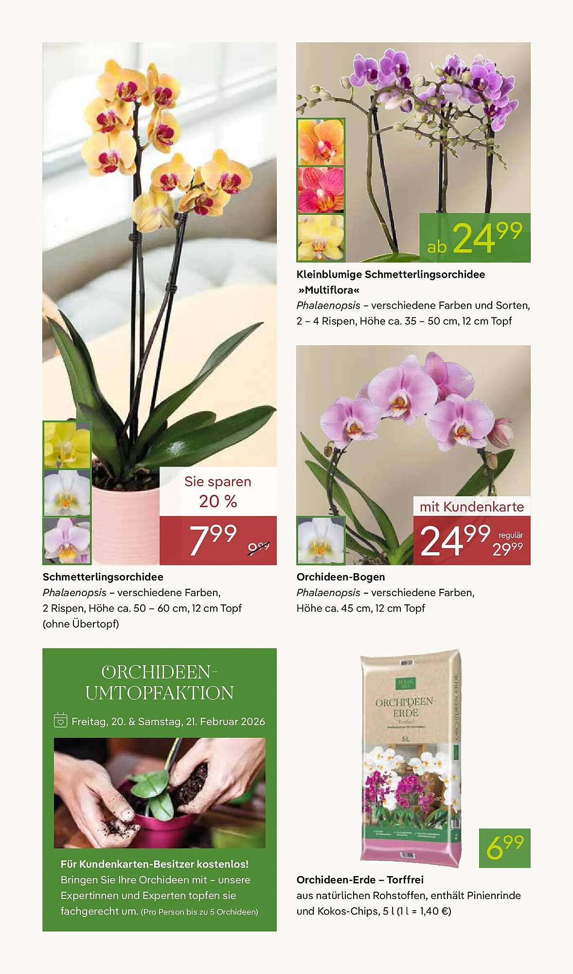 Pflanzen Kölle Prospekt