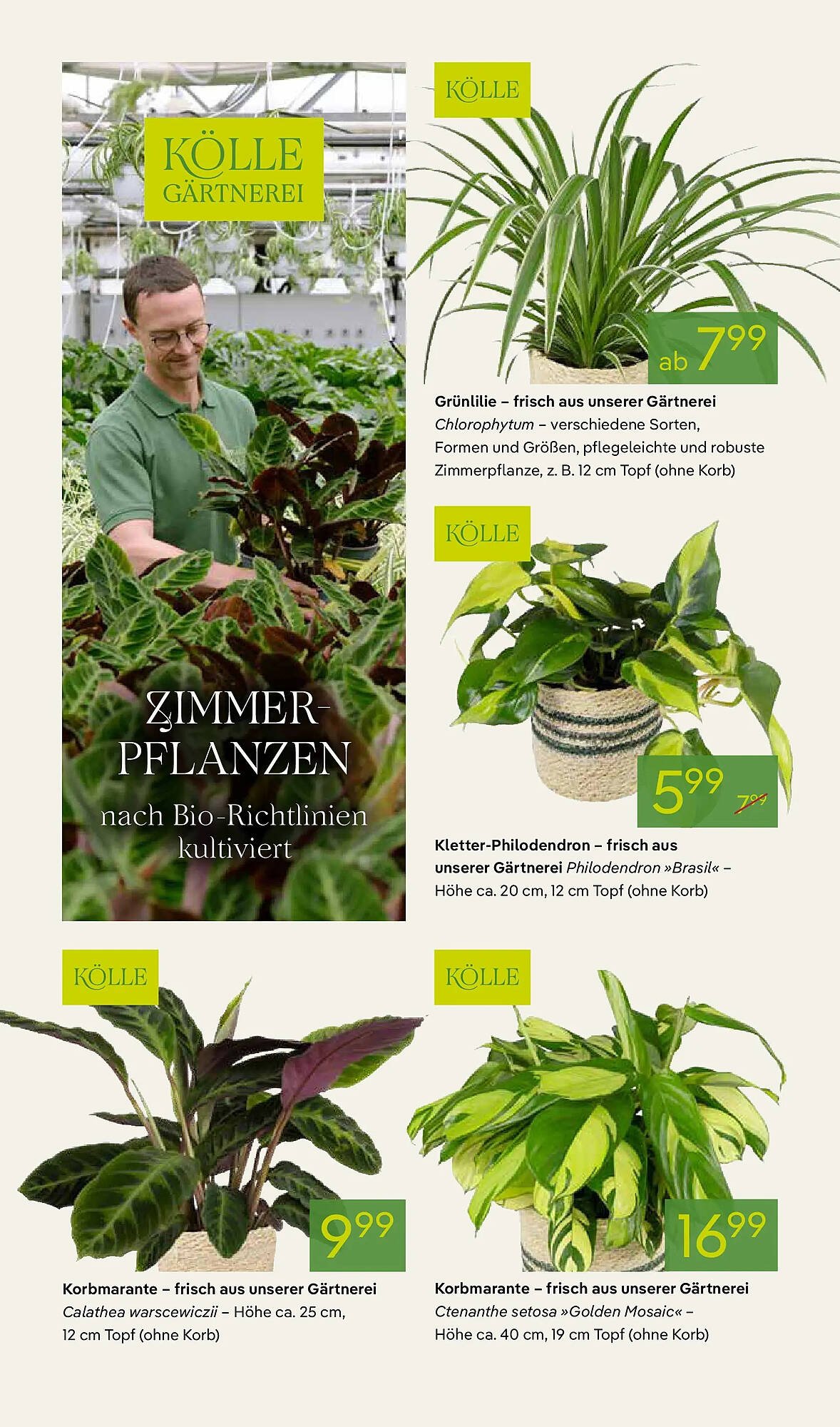 Pflanzen Kölle Prospekt