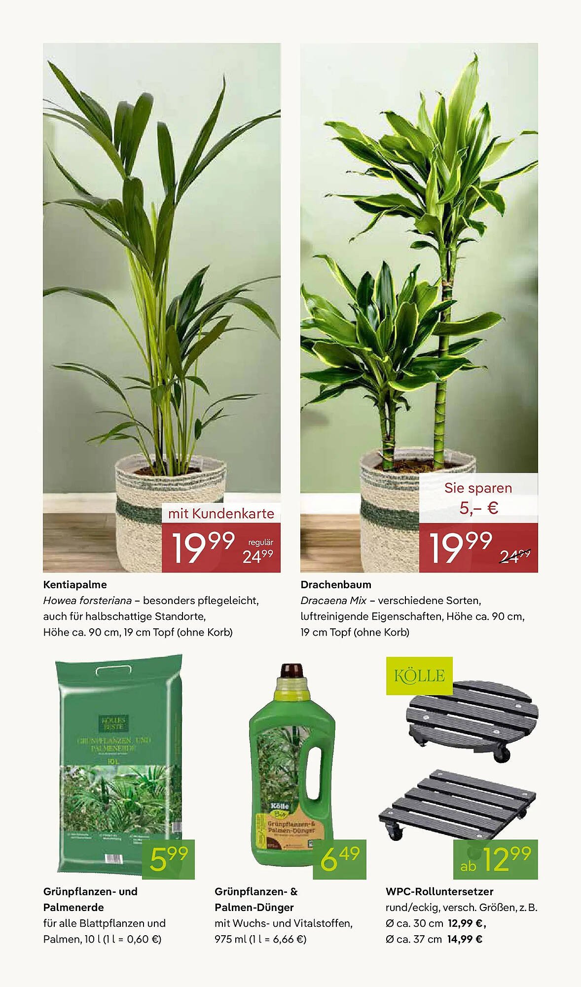 Pflanzen Kölle Prospekt