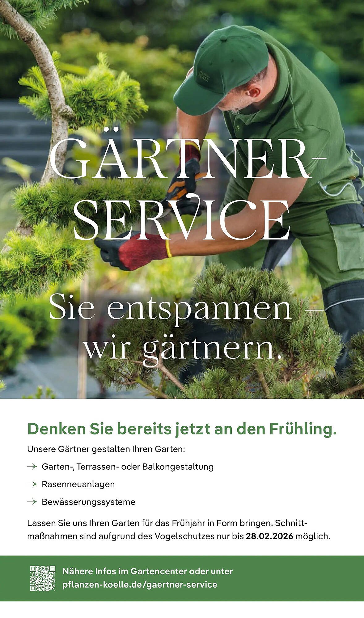 Pflanzen Kölle Prospekt