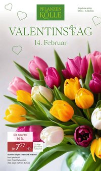 Pflanzen Kölle Prospekt