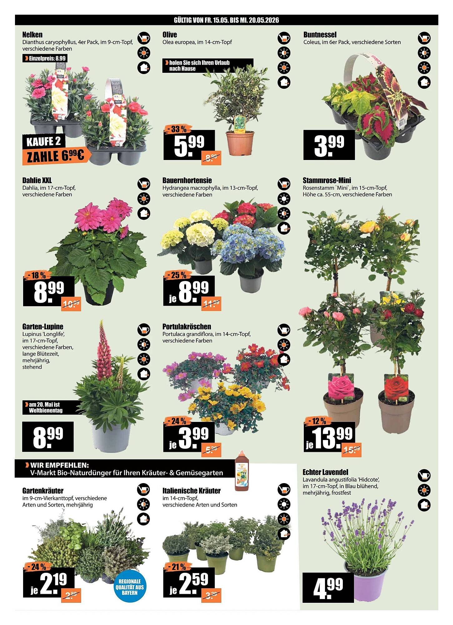 V Baumarkt Prospekt (2026-05-15 - 2026-05-21)