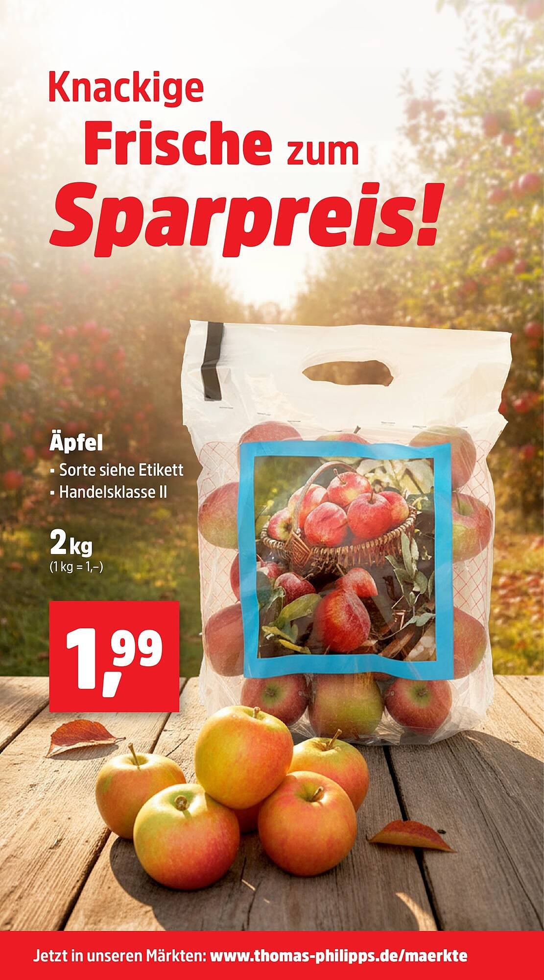 Thomas Philipps Prospekt (2025-10-27 - 2025-11-01)