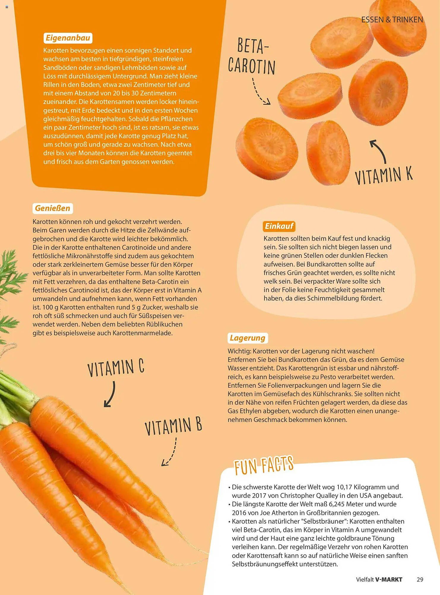 V Markt Magazin (2026-05-01 - 2026-06-30)