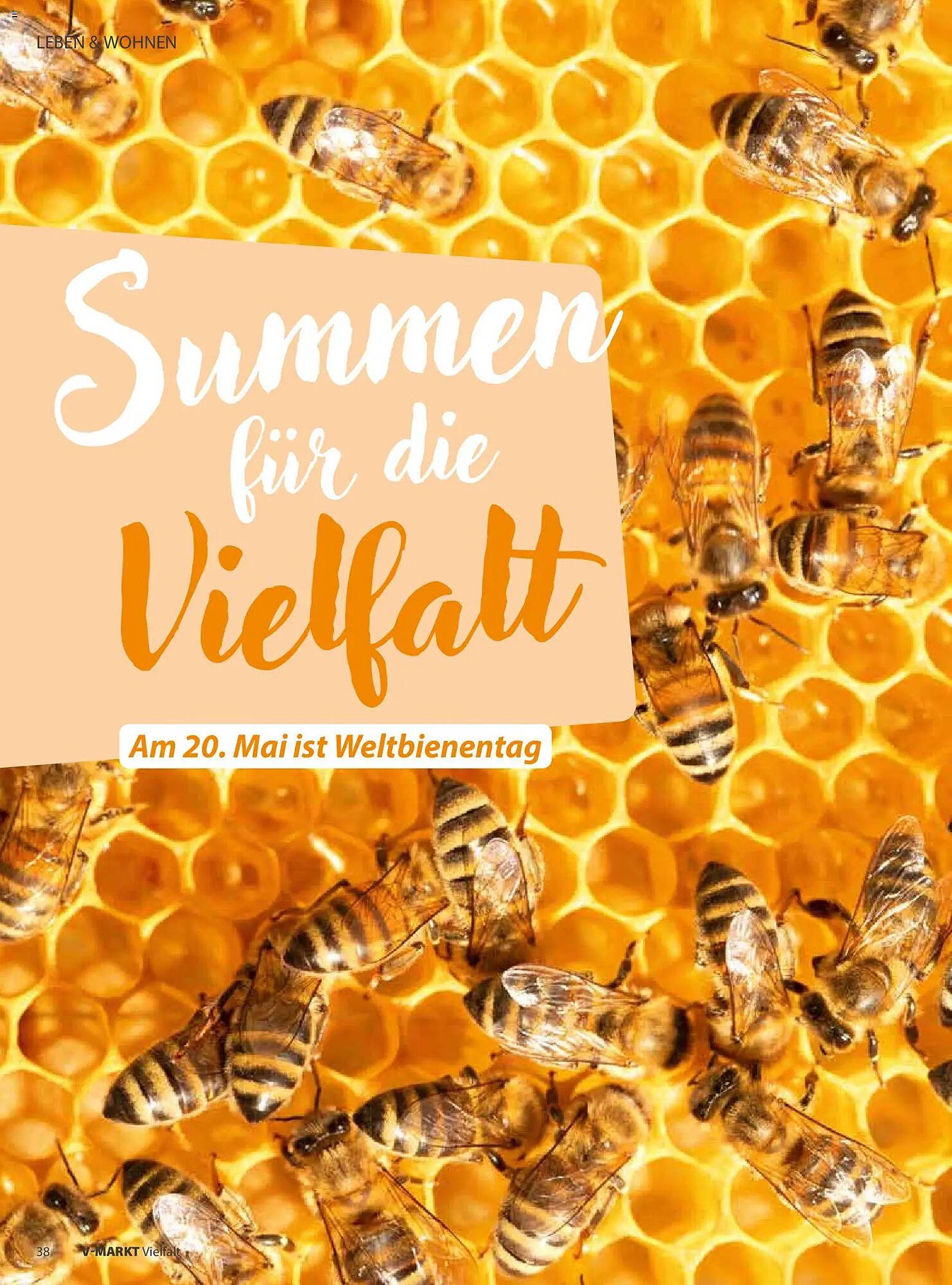 V Markt Magazin (2026-05-01 - 2026-06-30)