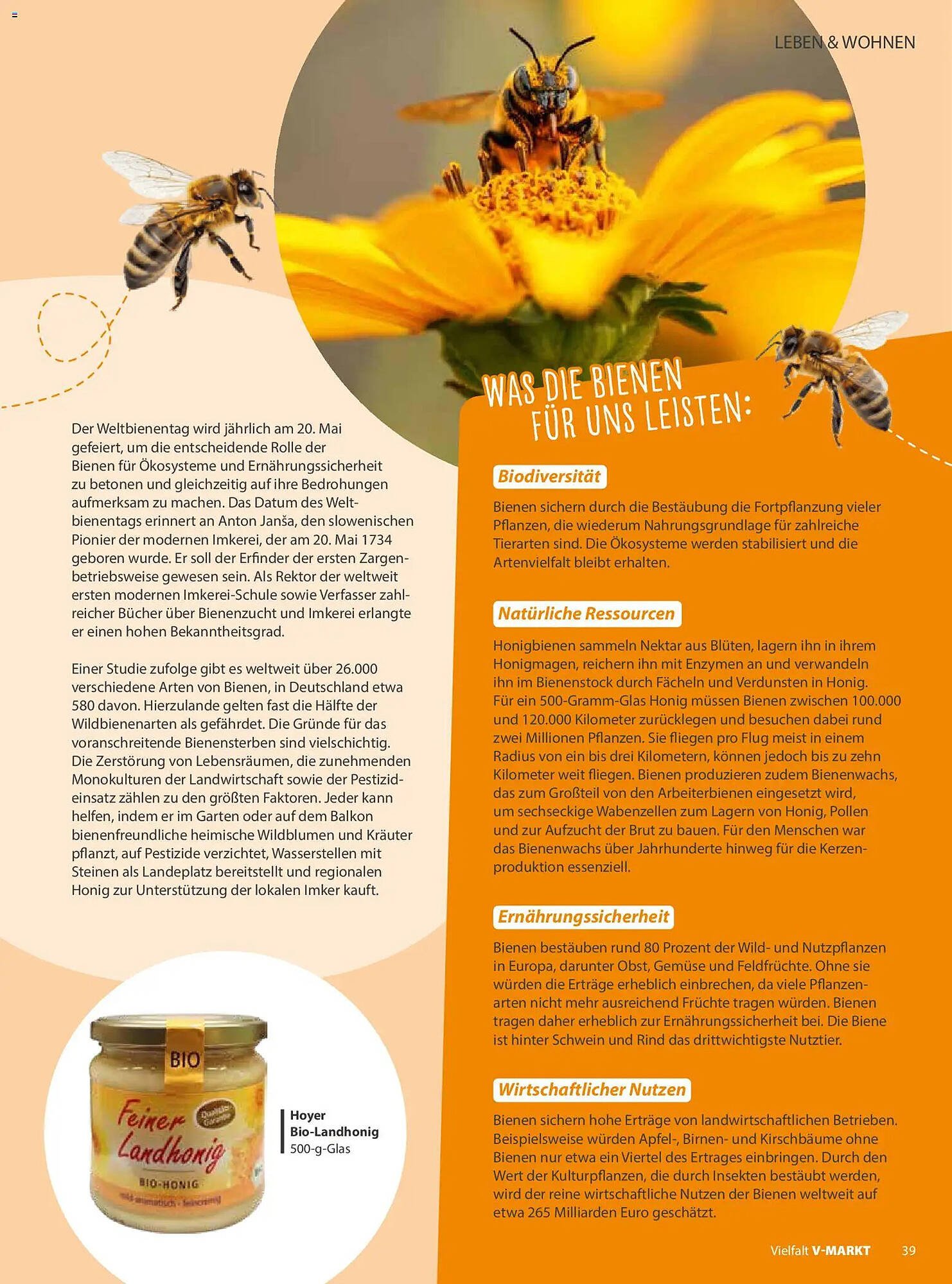 V Markt Magazin (2026-05-01 - 2026-06-30)