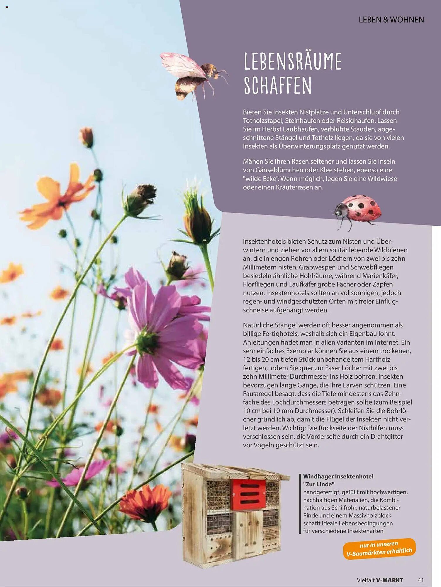 V Markt Magazin (2026-05-01 - 2026-06-30)