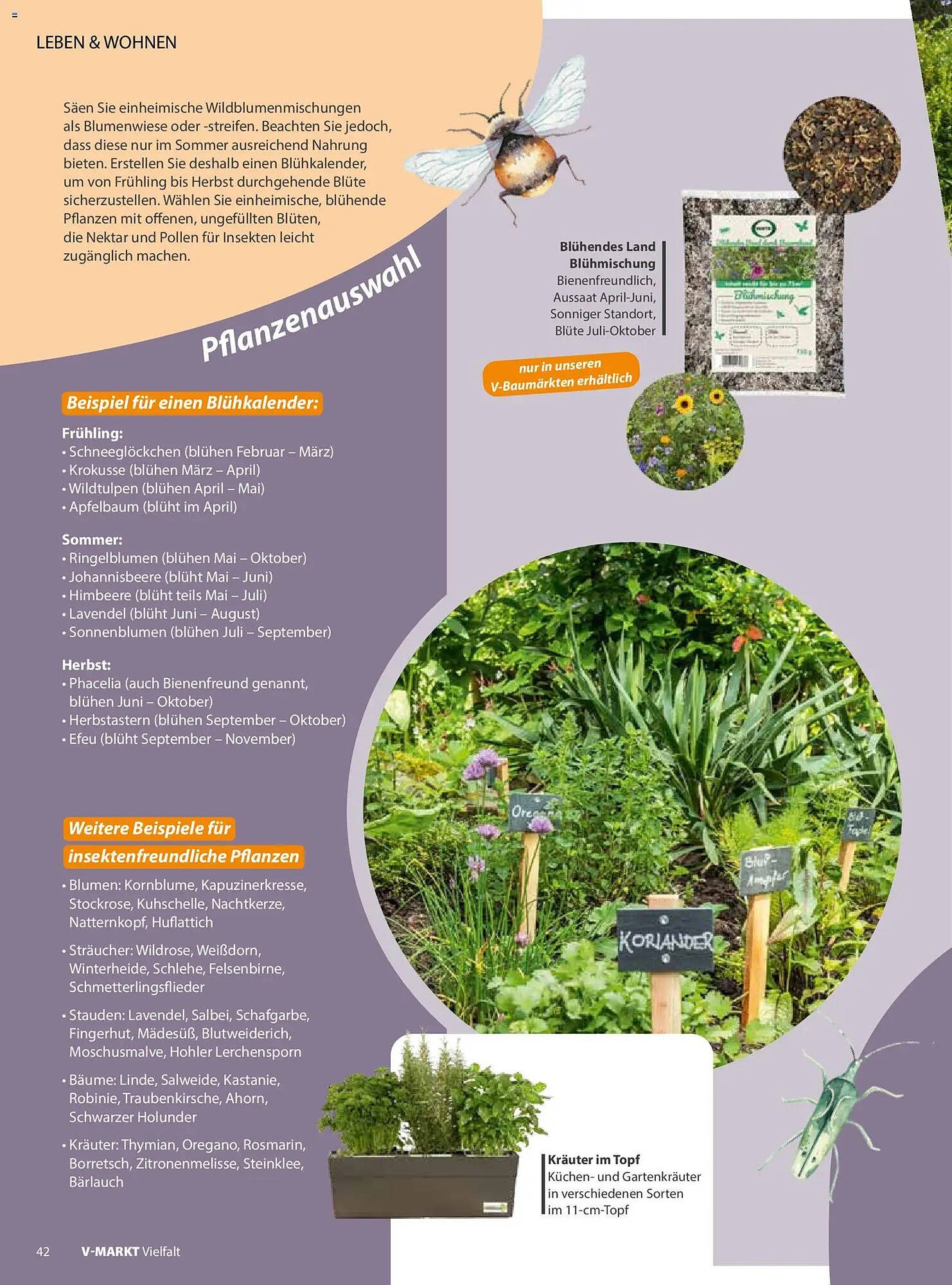 V Markt Magazin (2026-05-01 - 2026-06-30)