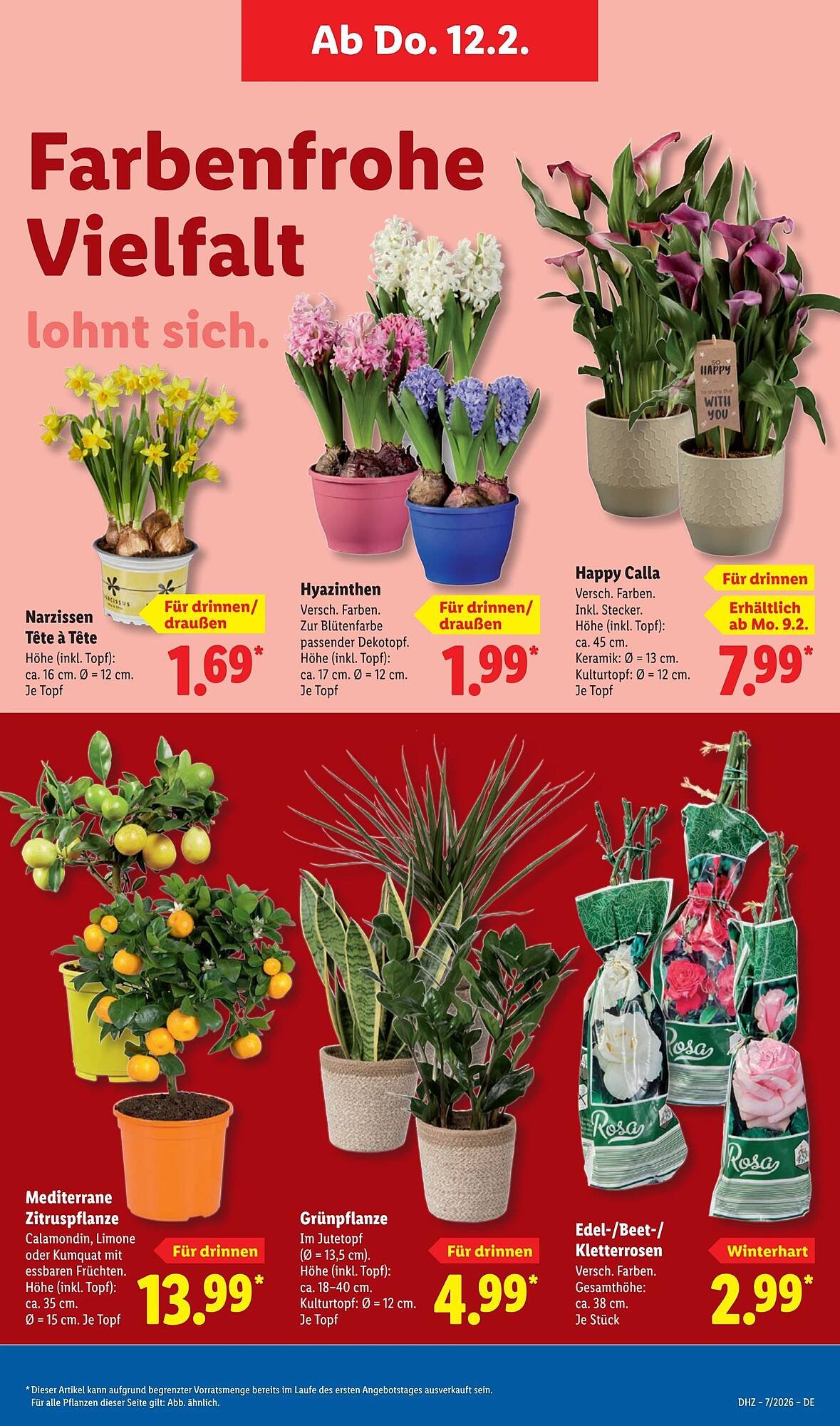 Lidl Prospekt (2026-02-09 - 2026-02-15)