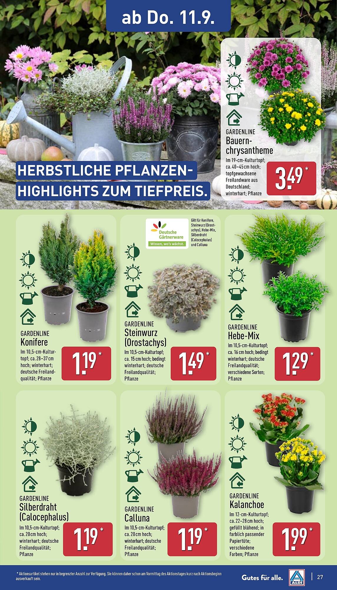 Aldi Nord Prospekt (2025-09-08 - 2025-09-13) | 31