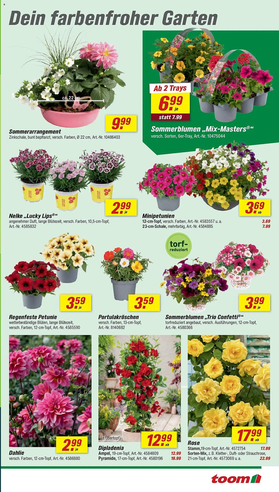Toom Baumarkt Prospekt (2026-05-16 - 2026-05-22)