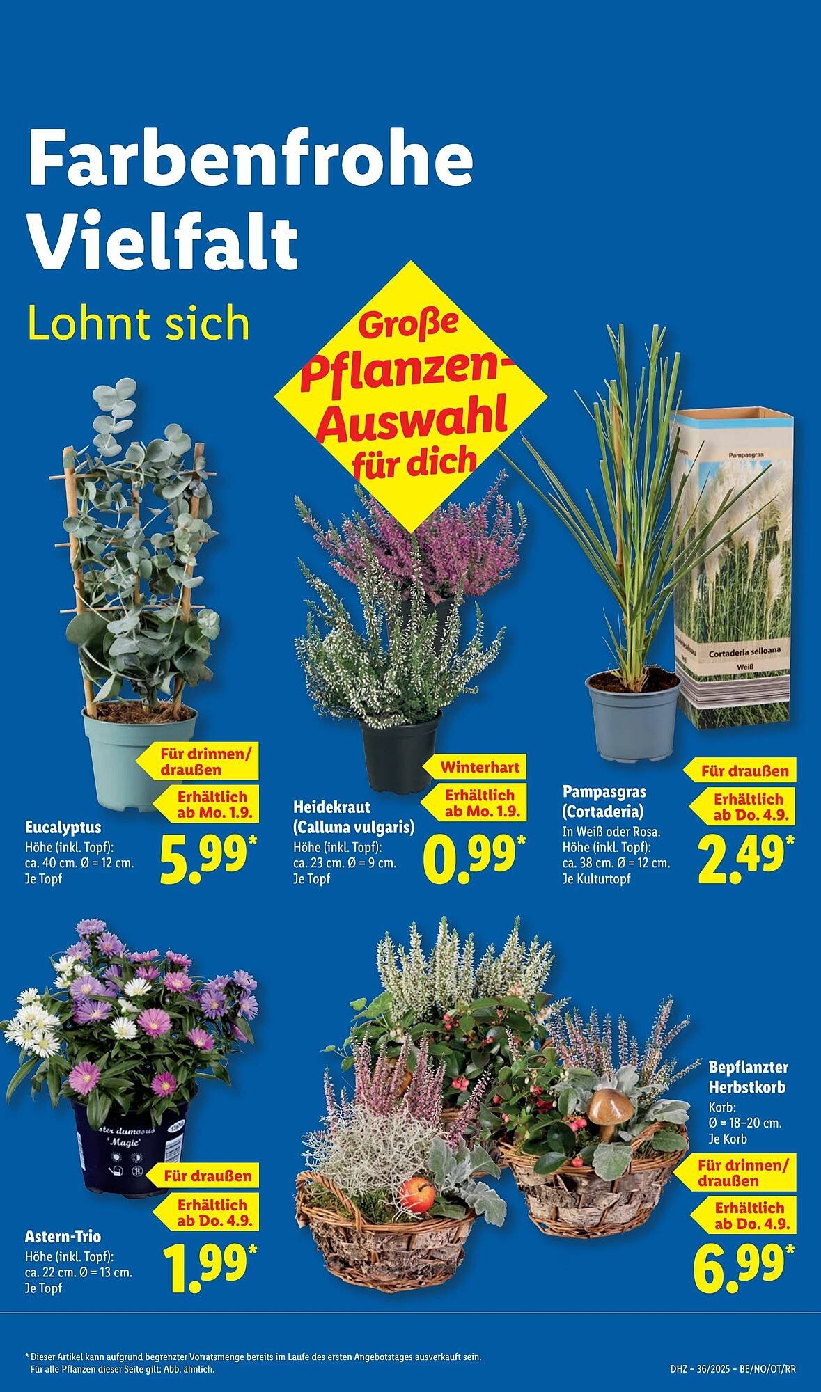 Lidl Prospekt (2025-09-01 - 2025-09-07) | 15
