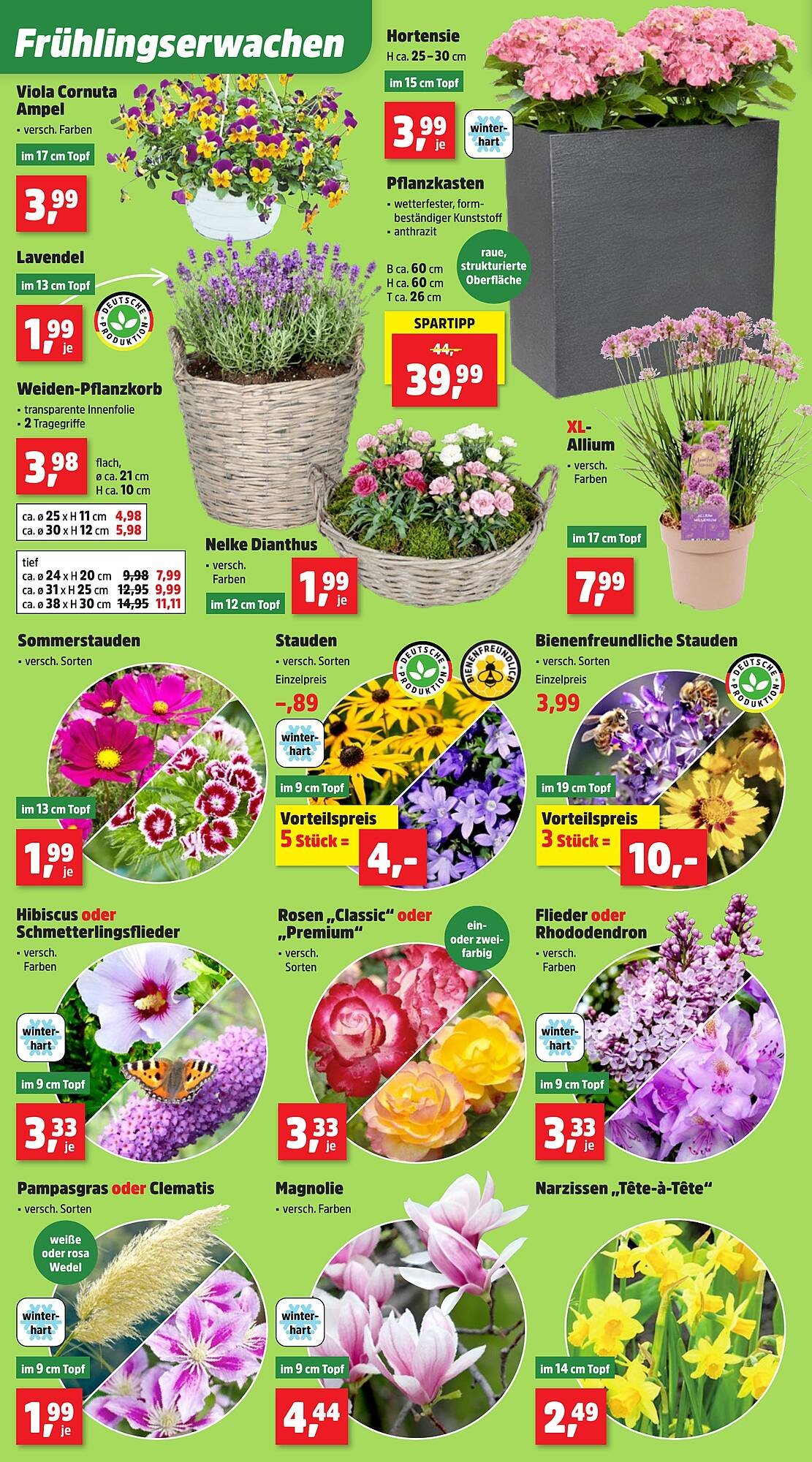 Thomas Philipps Prospekt (2026-03-23 - 2026-03-28)