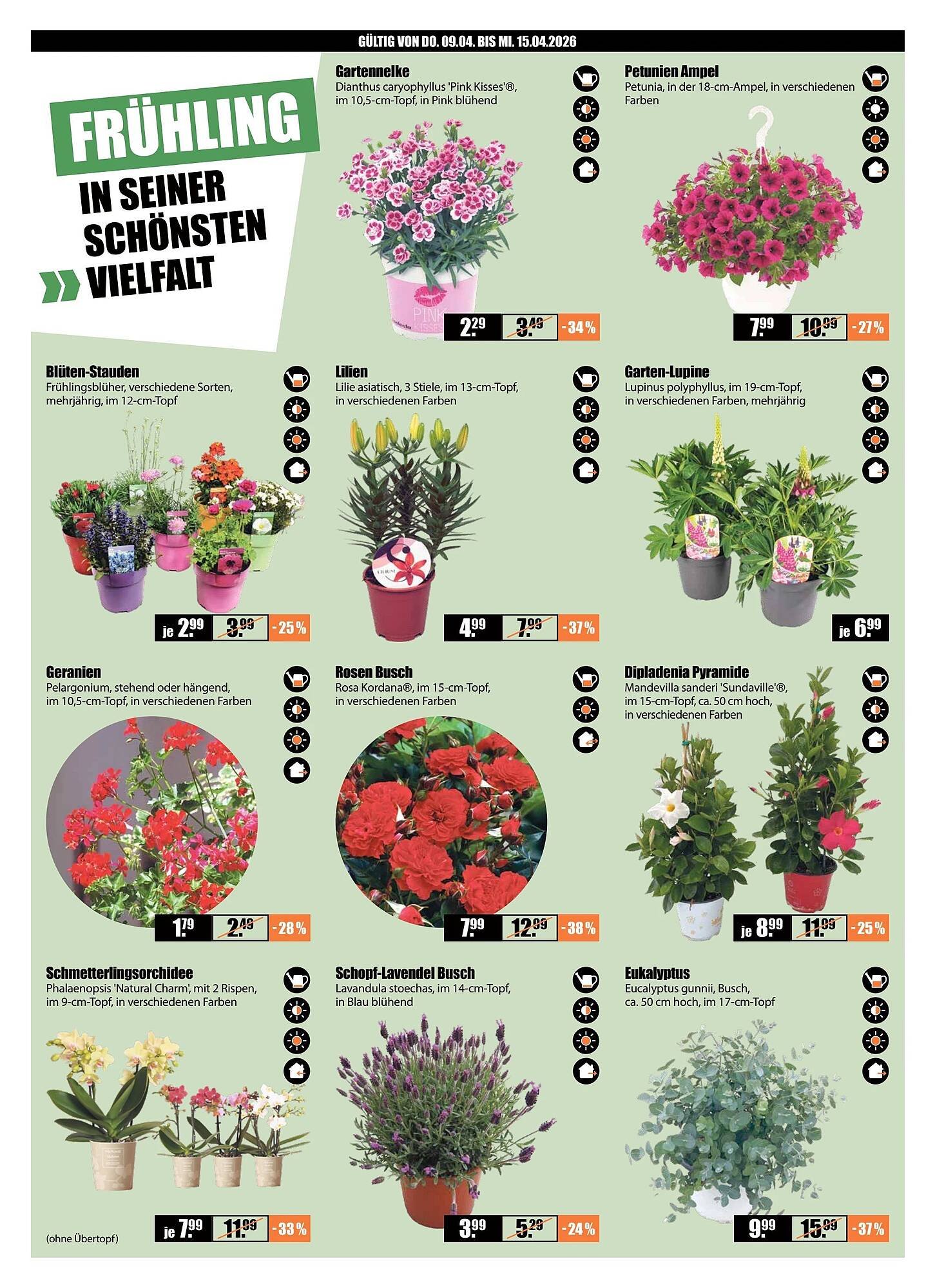 V Baumarkt Prospekt (2026-04-09 - 2026-04-15)