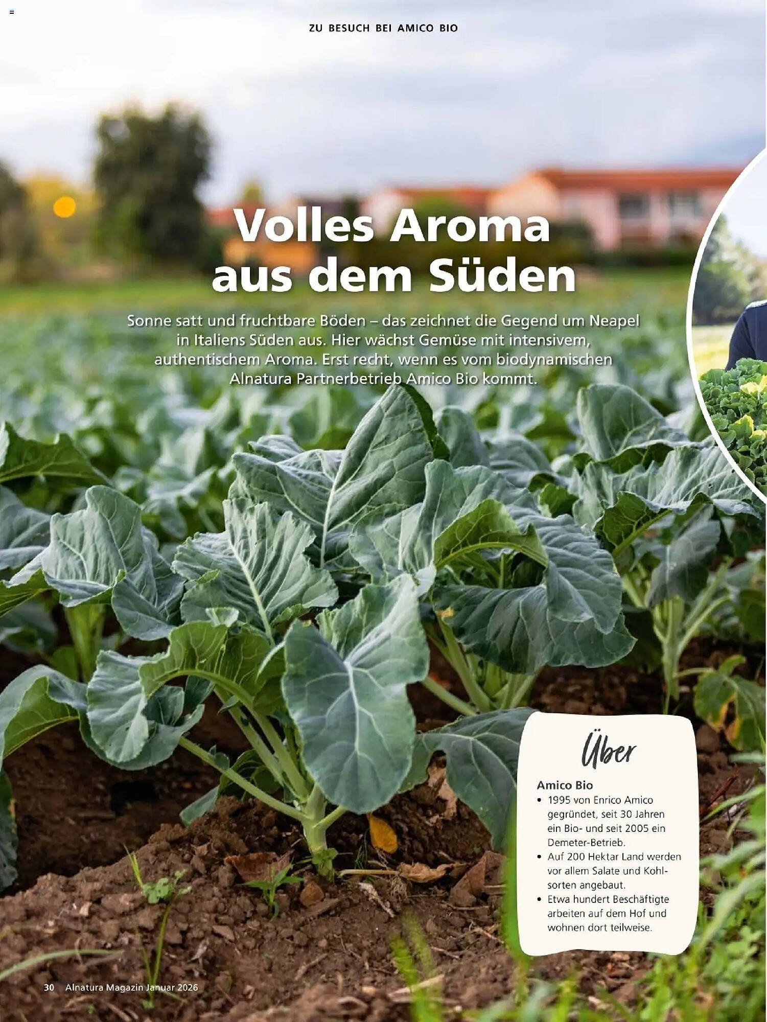 Alnatura Prospekt (2026-01-01 - 2026-01-31)