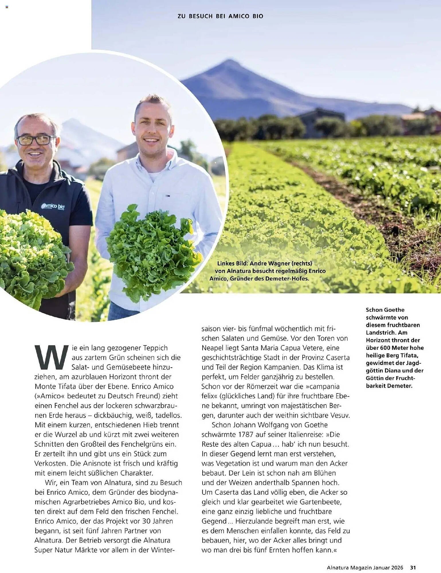 Alnatura Prospekt (2026-01-01 - 2026-01-31)