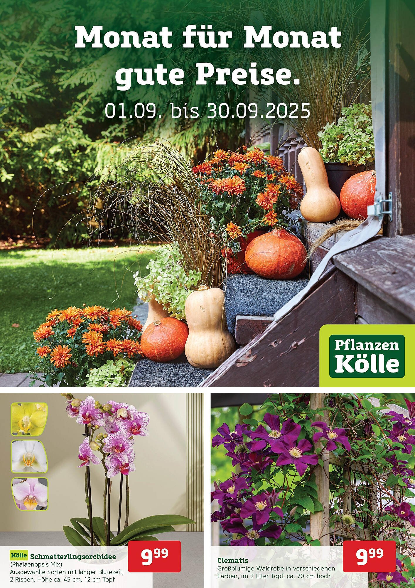 Pflanzen Kölle Prospekt (2025-08-31 - 2025-09-30) | 1