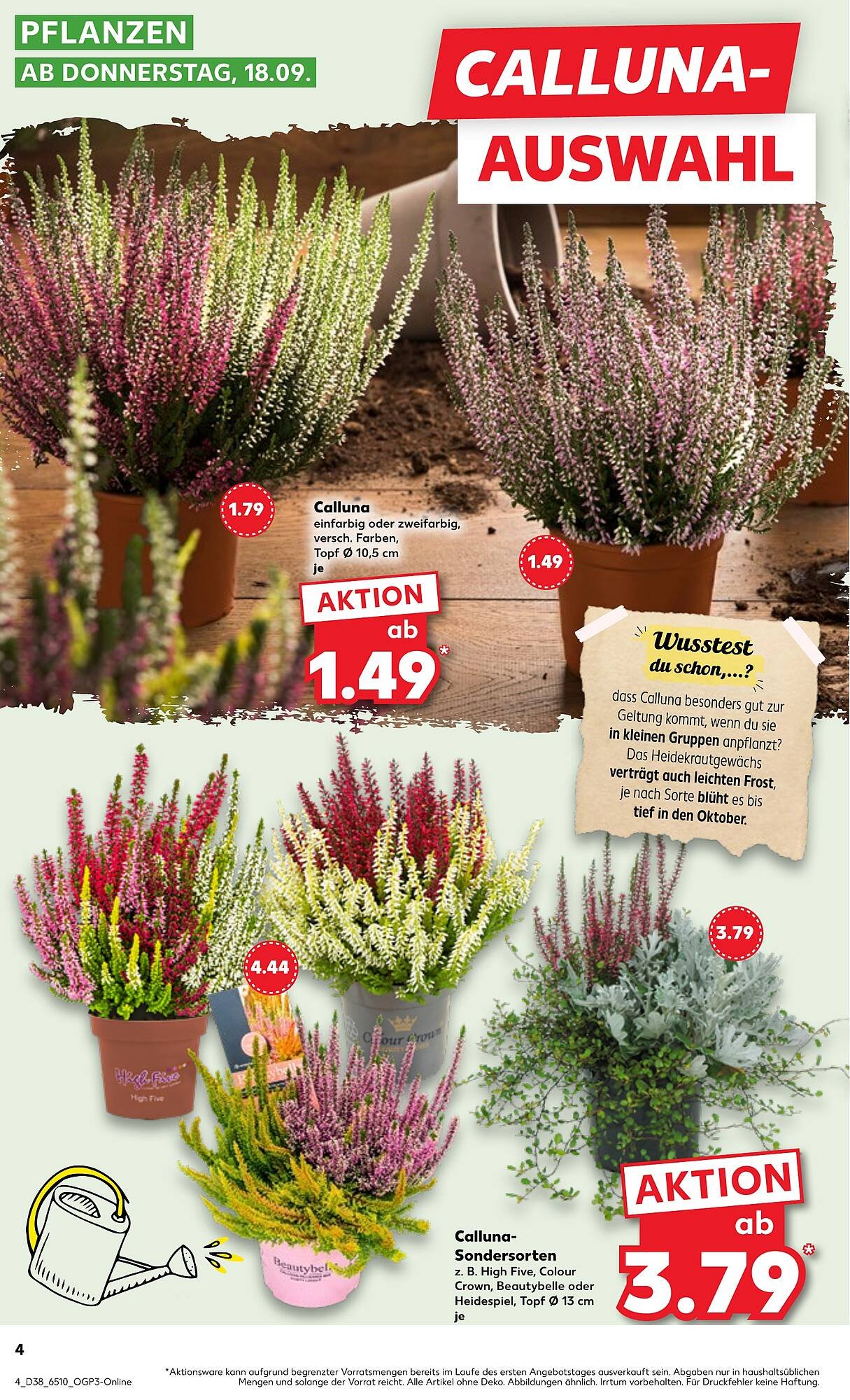 Kaufland Prospekt (2025-09-17 - 2025-09-23)