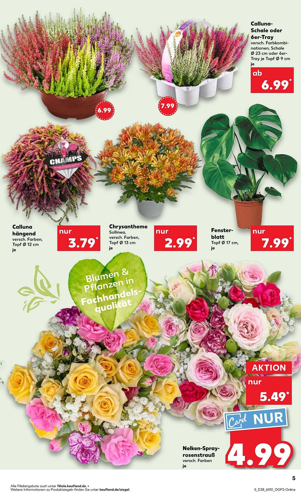 Kaufland Prospekt (2025-09-17 - 2025-09-23)
