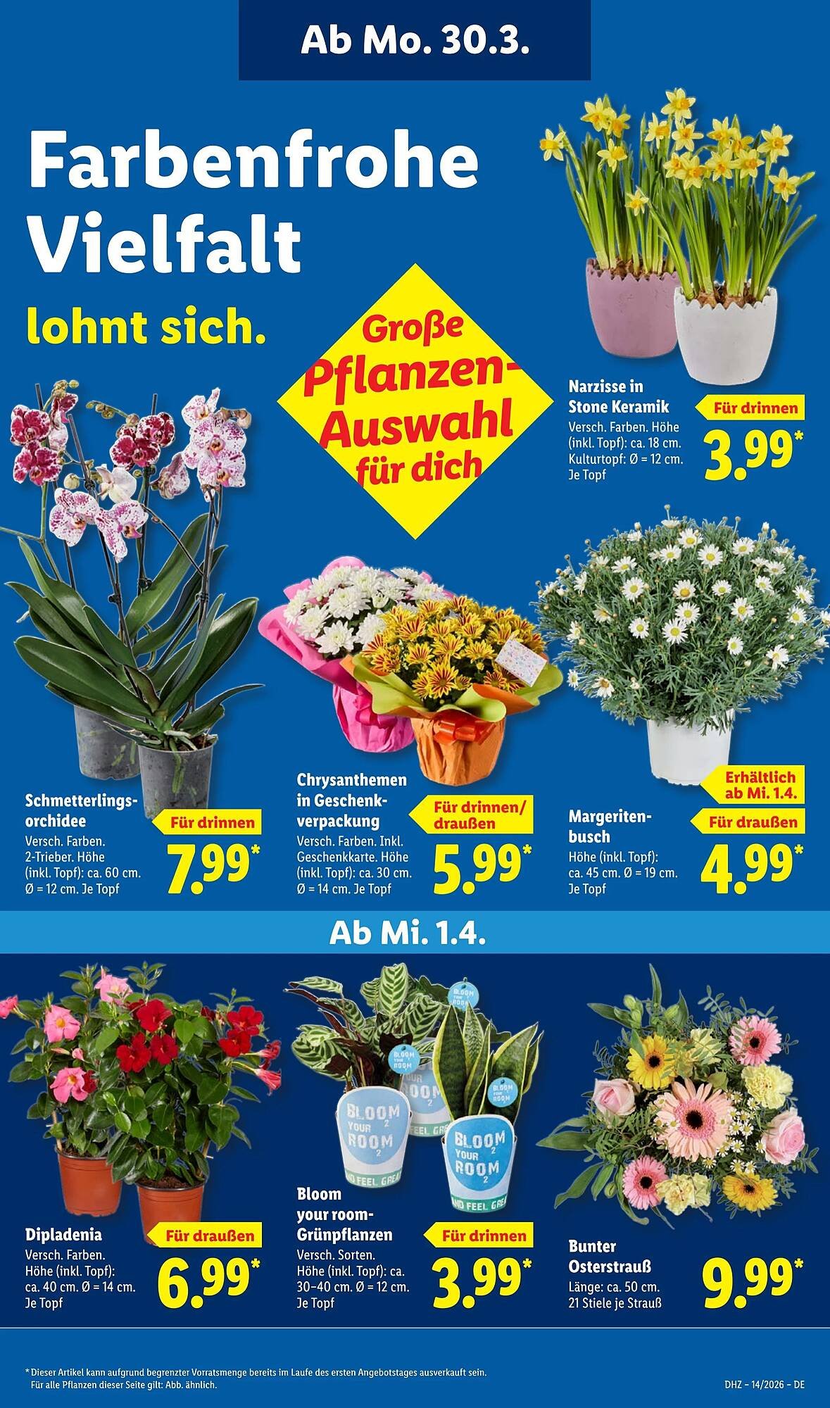 Lidl Prospekt (2026-03-30 - 2026-04-05)