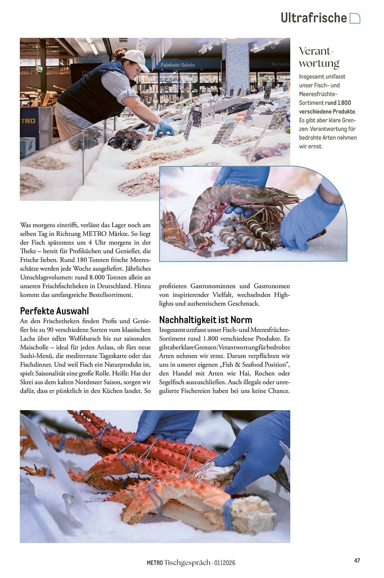 METRO Prospekt (2026-02-01 - 2026-02-28)